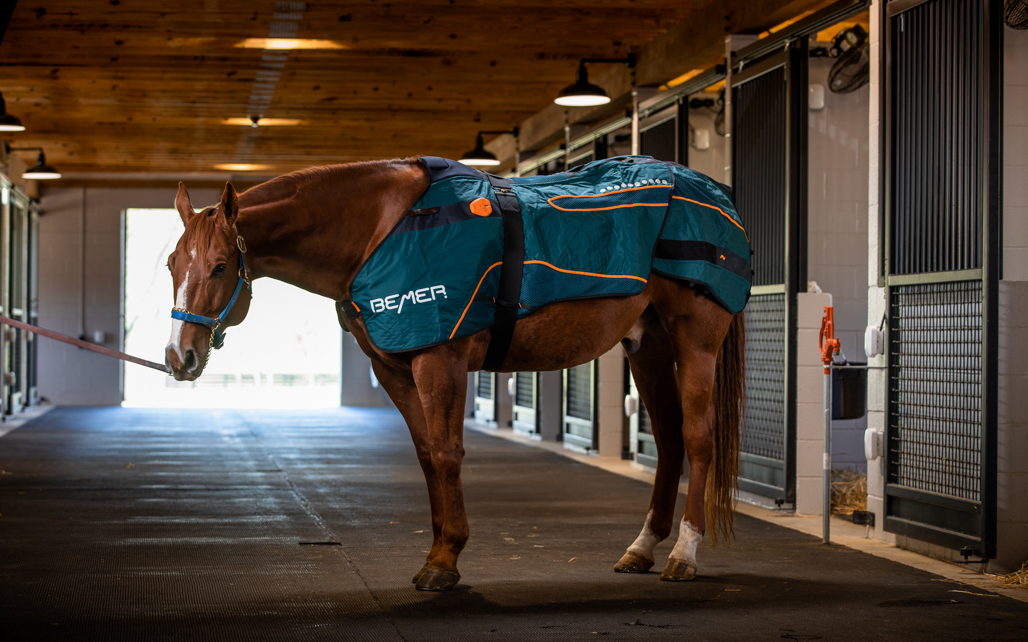 Bemer Blanket | Equine Therapy Blanket | Equine Circulation Treatment